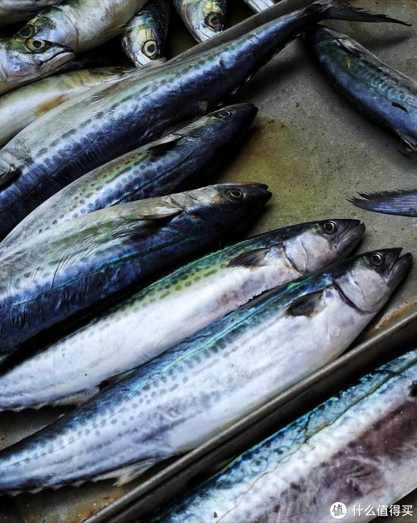 stron, 先用沸水焯, 与秋天的饱