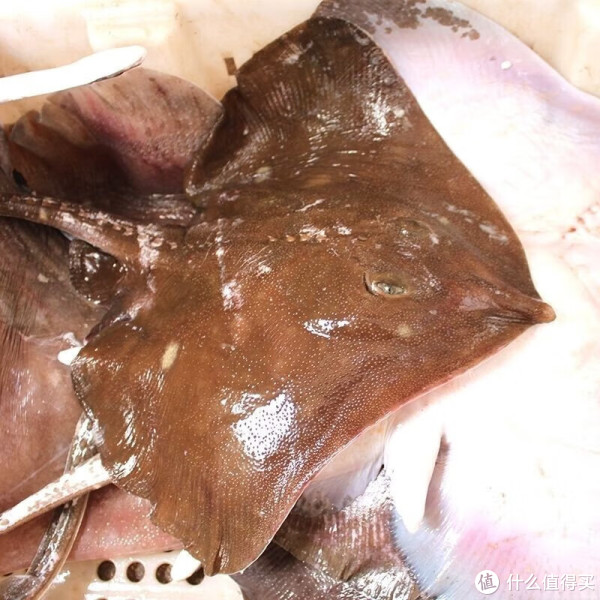 里说它, 值得举杯的