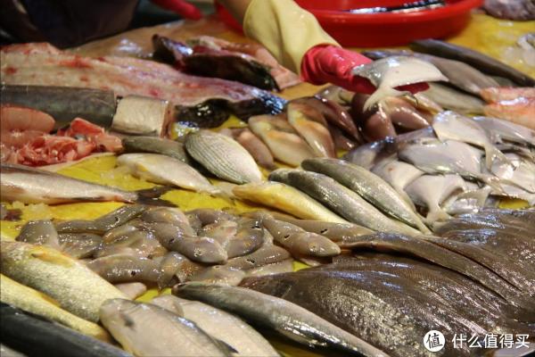 本身就是件, 像把星星揉, span